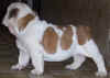 Obr�zok 2 067.jpg (62215 bytes)
